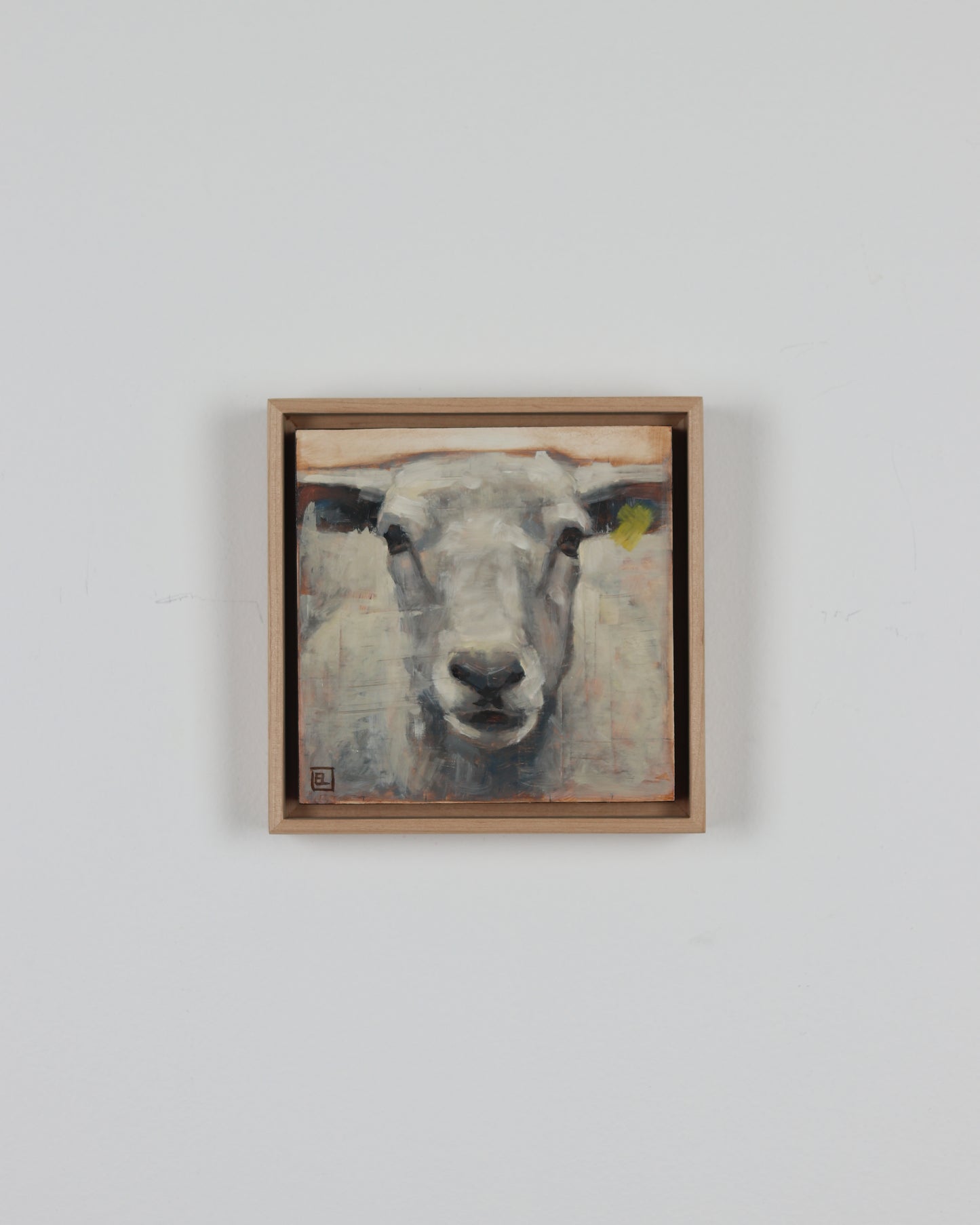Portrait of a Sheep
