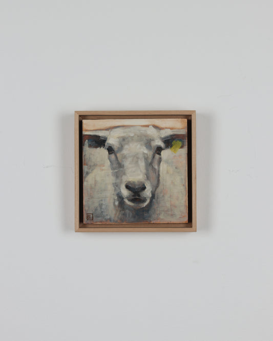 Portrait of a Sheep