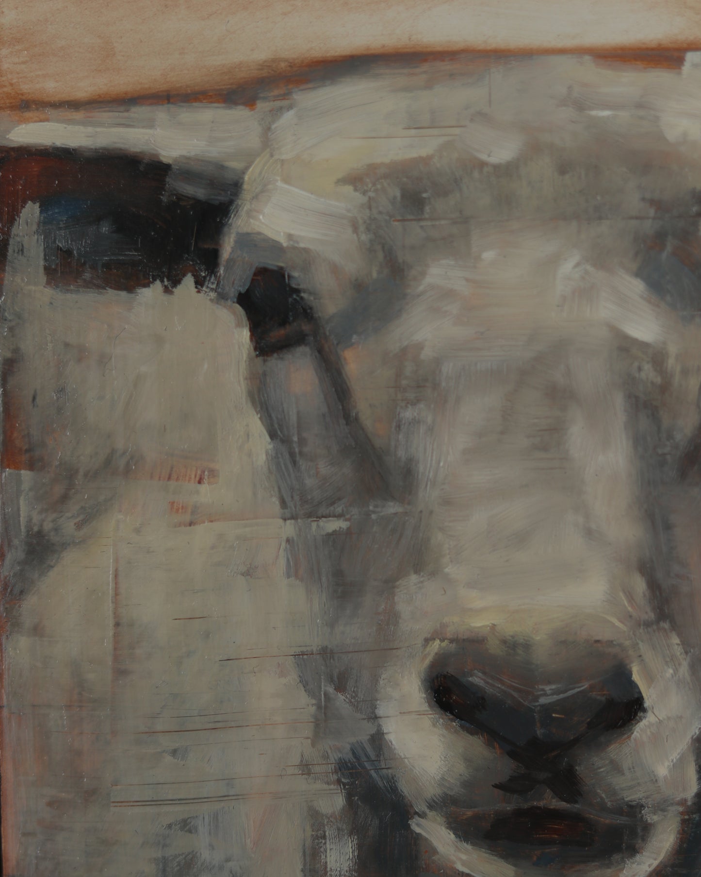 Portrait of a Sheep