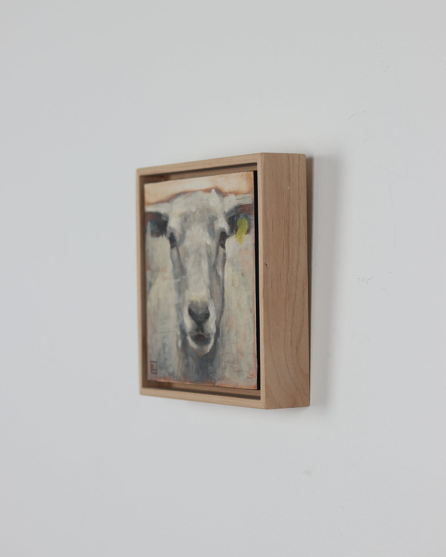 Portrait of a Sheep
