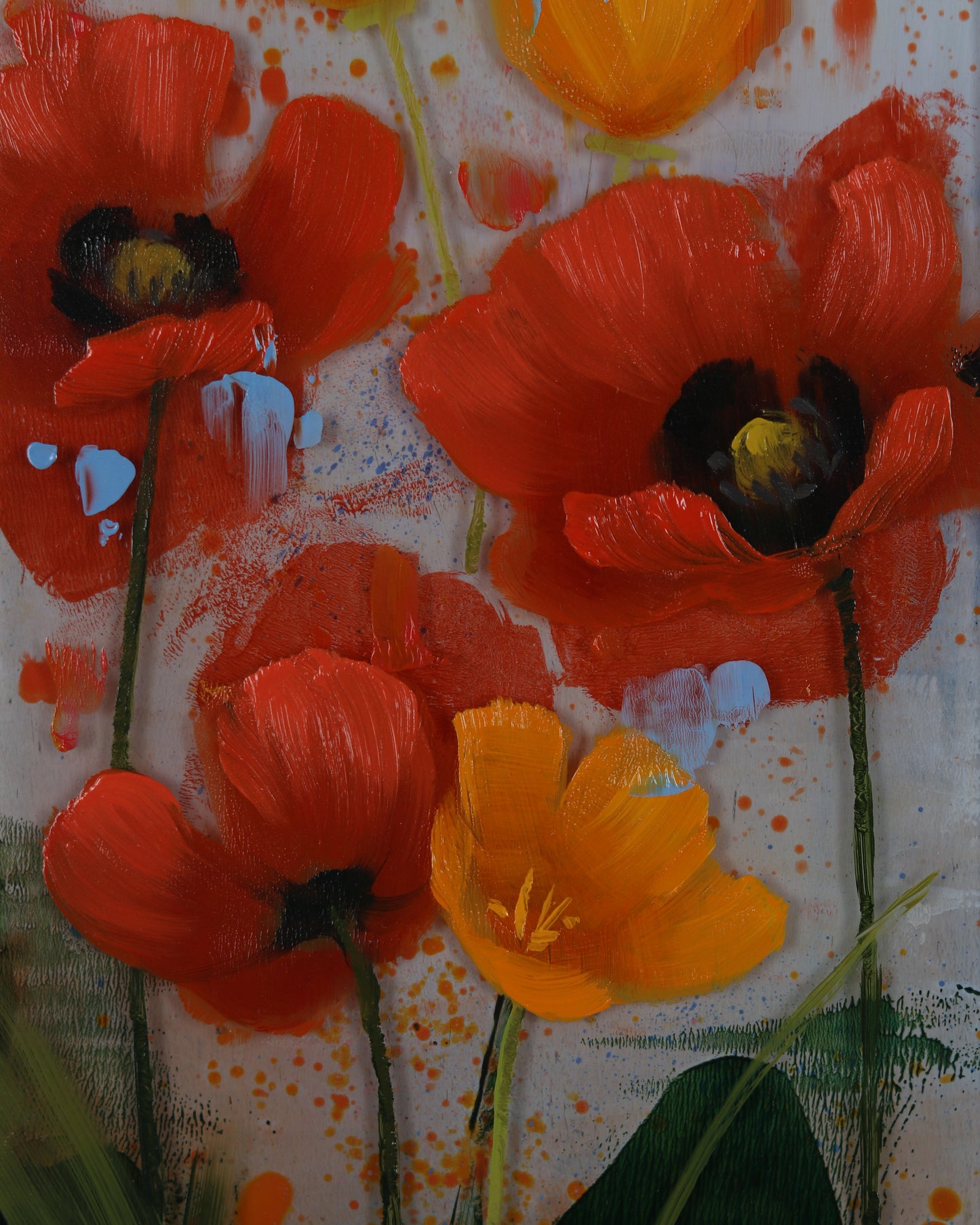 Poppy Meadow