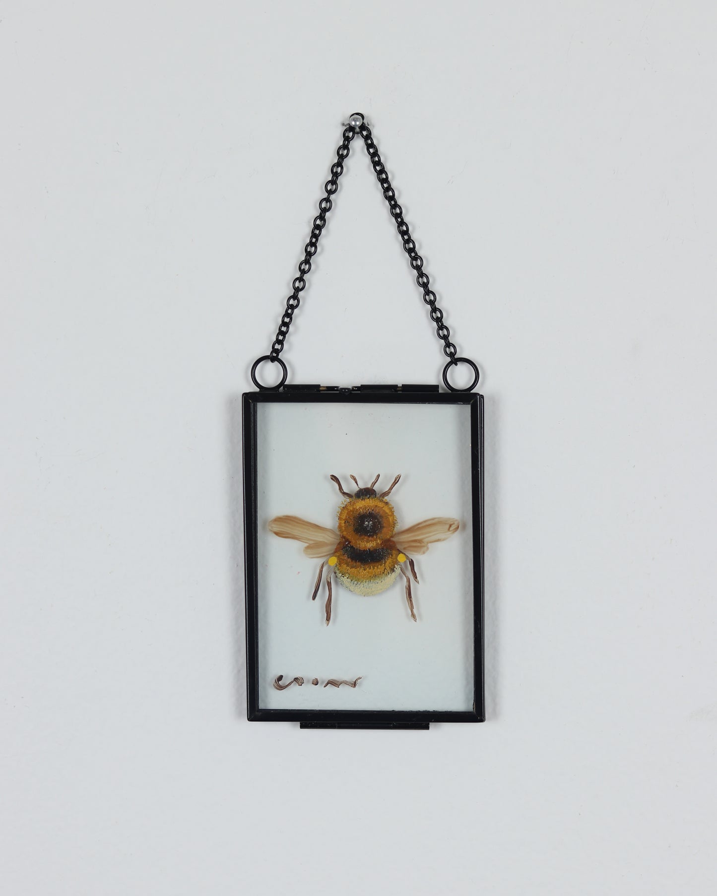 Rectangle Glass Bee