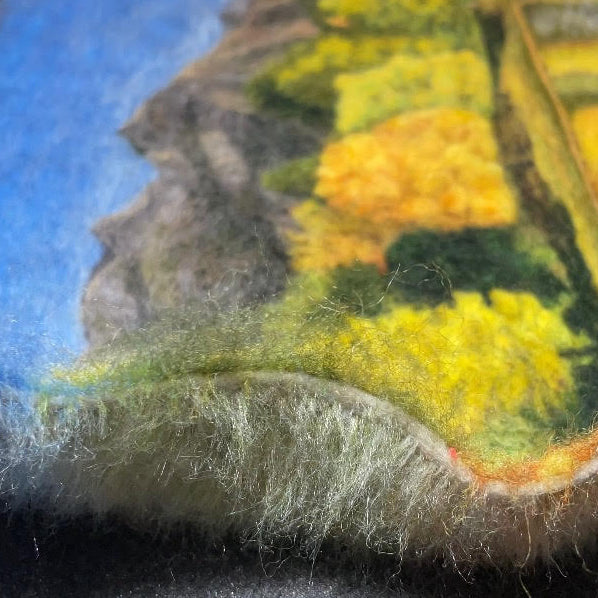 Needle Felting Wool Class with Mandy Begg